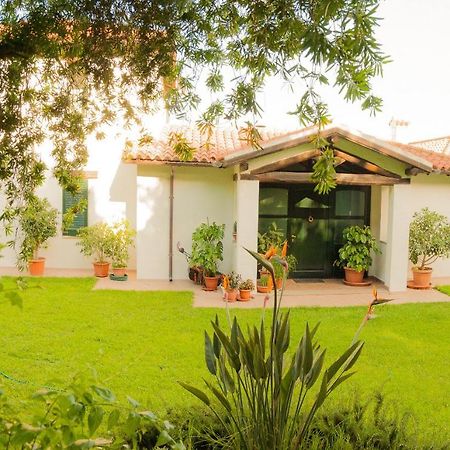 Villa Aurora Ольбия Экстерьер фото